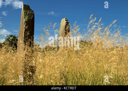 Le sculture in pietra in erba lunga ad RHS Gardens,Harlow Carr,Harrogate,North Yorkshire, Inghilterra, Regno Unito. Foto Stock