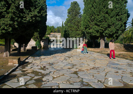 Le rovine romane di italica - cardo maximus, santiponce, Siviglia e provincia, regione dell'Andalusia, Spagna, Europa Foto Stock