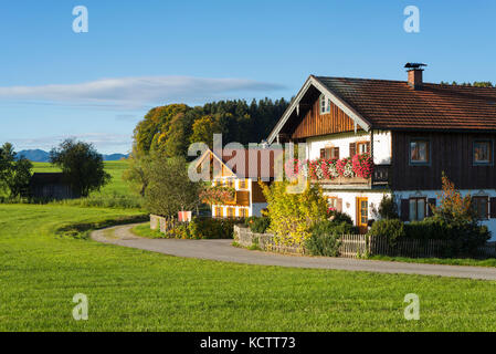 Case coloniche con facciata in legno nel tradizionale stile bavarese in Baviera con fiori che sbocciano nel sole del mattino, irschenberg, Baviera, Germania Foto Stock