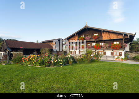 Case coloniche con facciata in legno nel tradizionale stile bavarese in Baviera con fiori che sbocciano nel sole del mattino, irschenberg, Baviera, Germania Foto Stock