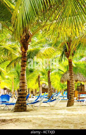White Sands, palma da cocco, vacanza ... Foto Stock