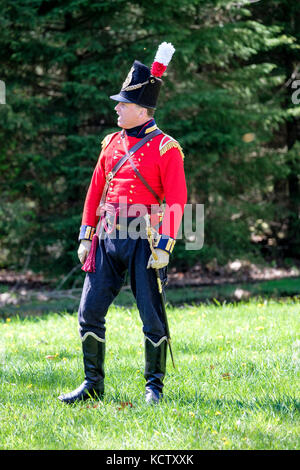 Battaglia di Longwoods rievocazione storica, guerra anglo-americano del 1812, marzo 1814, British officer gridando nel campo di battaglia, Delaware, Ontario, Canada. Foto Stock