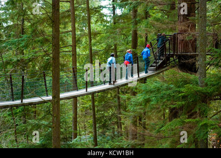 Treetops avventura nel Parco di Capilano, Vancouver, British Columbia, Canada Foto Stock