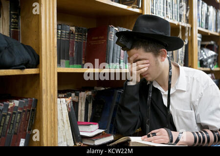 Una religiosa ebraica giovane uomo che indossa i filatteri presso le preghiere del mattino in una sinagoga a Brooklyn, New York. Foto Stock