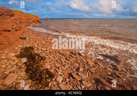 Pietra arenaria rossa scogliere lungo il golfo di St Lawrence, Capo nord, Prince Edward Island, Canada Foto Stock