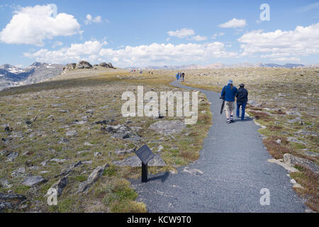 La tundra europee Trail, fuori del Trail Ridge Road, Rocky Mountain National Park, COLORADO Foto Stock