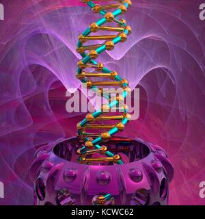 Illustrazione concettuale di un doppio filamento di DNA (acido desossiribonucleico) con la molecola di DNA o di generazione di apparecchiature di editing. Il DNA è composto da due trefoli intrecciati in una doppia elica. Ciascun filamento è costituito da uno zucchero-ossatura di fosfato attaccata alle basi nucleotidiche. Ci sono quattro basi: adenina, citosina, guanina e timina. Le basi sono uniti tra di loro da legami idrogeno. Il DNA contiene sezioni chiamati geni che codificano il corpo di informazioni genetiche. Foto Stock