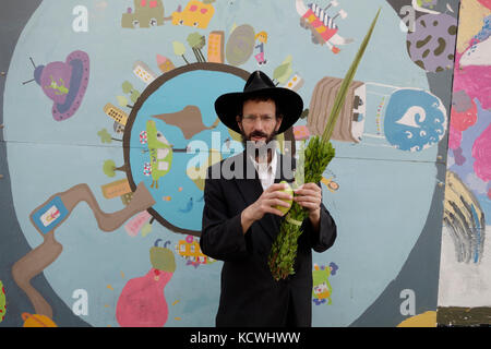 Un ebreo ultra ortodosso tiene una fronda di palma cerimoniale "Lulav" e salice durante la festa Sukkot dei Tabernacoli a Gerusalemme Israele Foto Stock