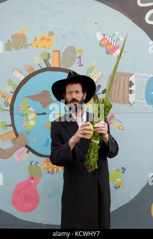 Un ebreo ultra ortodosso tiene una fronda di palma cerimoniale "Lulav" e salice durante la festa Sukkot dei Tabernacoli a Gerusalemme Israele Foto Stock