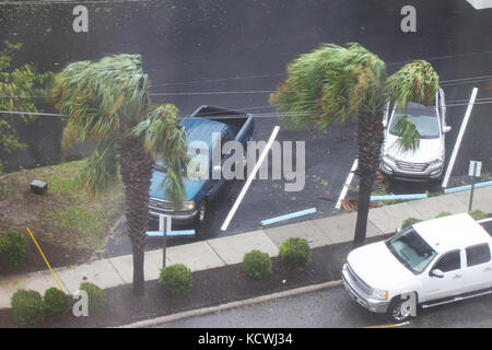 Il vento e la pioggia continua a colpire Charleston tarda mattina di ottobre 8, come uragano Matthew borda la costa del South Carolina provocando allagamenti e danni da vento. Dopo che la maggior parte di danneggiare una parte della tempesta passa attraverso, Carolina del Sud guardie nazionali a sostegno delle autorità locali e statali, sono sul terreno lungo la costa è pronto a rispondere. Circa 2.300 Carolina del Sud la Guardia Nazionale di soldati e aviatori è stato attivato in quanto il 4 ottobre, 2016 a sostegno di stato e contea di gestione di emergenza e le agenzie locali di prima emergenza dopo il Governatore Nikki Haley dichiarato lo stato di emergenza. (Ph Foto Stock