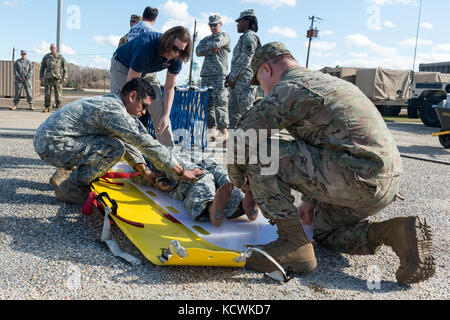 Soldati degli Stati Uniti assegnati alla 251st Area Support Medical Company, South Carolina Army National Guard, condurre la consapevolezza di materiali pericolosi e la formazione operativa insegnati dalla South Carolina Fire Academy HAZMAT istruttori a Darlington, South Carolina, 12 gennaio 2017. La formazione comprendeva procedure di decontaminazione di emergenza per pazienti non ambulatoriali, mitigazione della contaminazione da fusti chimici e costruzione di dighe per il contenimento chimico in un canale d'acqua. (STATI UNITI Air National Guard foto di Tech. SGT. Jorge Intriago) Foto Stock