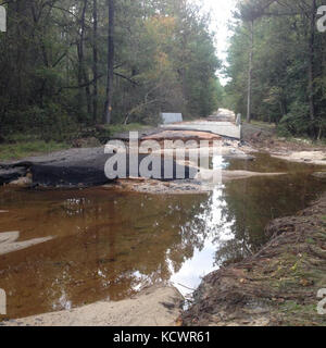 Carolina del sud esercito guardia nazionale ospita una squadra di archeologi e responsabili della conservazione come lavorano a mccrady training center, eastover, s.c., feb. 2, 2016. Dopo la storica alluvione di ottobre 2015, drastica erosione esposti vecchi sistemi di trasporto e sconvolto i legnami da costruzione in un nucleo cavo dam. Questo usato per essere una strada piana ponte. (Us army national guard Photo da 2 lt. tracci dorgan-bandy) Foto Stock