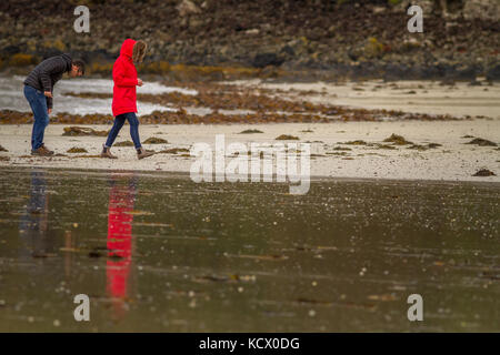 Accoppiare la raccolta di conchiglie, ciottoli e flotsam e jetsam su Calgary Bay Beach, Isle of Mull, Scozia Foto Stock