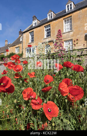 Papaveri rossi nella parte anteriore del Cotswold case di pietra lungo la High Street, Blockley, Cotswolds, Gloucestershire, England, Regno Unito, Europa Foto Stock