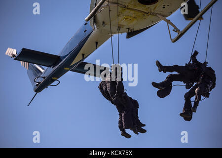 Squadra delle forze speciali in elicottero salto corda, non marcati e irriconoscibile SWAT team Foto Stock