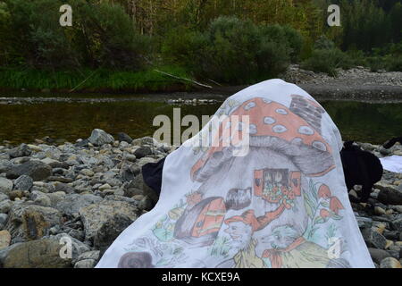 Fiume aoos e foresta vicino vovousa vilage, valia calda parco nazionale , Grecia Foto Stock