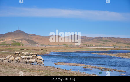 Mongolia Interna steppa Foto Stock