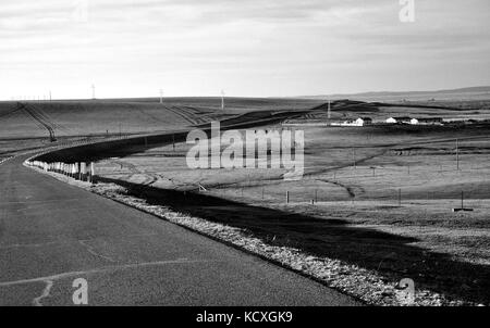 Mongolia Interna steppa Foto Stock