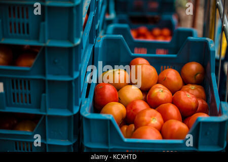 Le gabbie con pomodori in un mercato Foto Stock