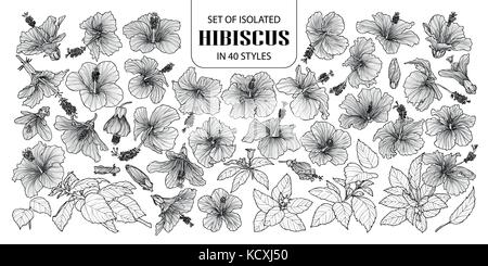 Set di hibiscus isolati in 40 stili. carino disegnato a mano illustrazione vettoriale fiori in profilo bianco e nero piano su sfondo bianco. Illustrazione Vettoriale