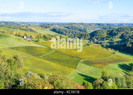 Turistica famosa strada del vino, weinstrasse sul confine tra Austria e Slovenia, vista da spicnik vicino a Maribor Foto Stock