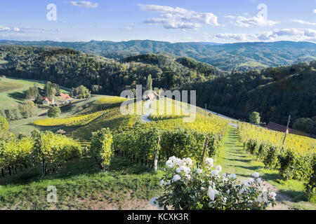 Famoso a forma di cuore la strada del vino in Slovenia in autunno, in forma di cuore - herzerl strasse, vigneti in autunno, spicnik Foto Stock