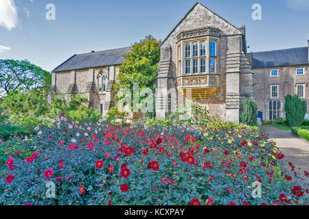 WELLS SOMERSET Inghilterra dalia fiori nel giardino di fronte al Palazzo dei Vescovi Foto Stock