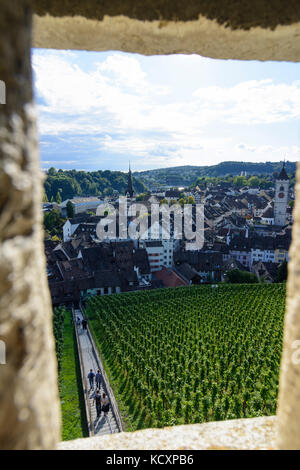 Vista dal castello Munot alla Città Vecchia, vigneto, Sciaffusa, , Schaffhausen, Svizzera Foto Stock