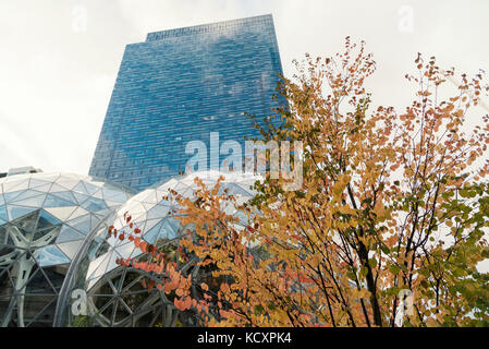 Guardando le società amazon nuova sede mondiale di sfere e tower con foglie di autunno albero in downtown seattle circa ottobre 2017. Foto Stock