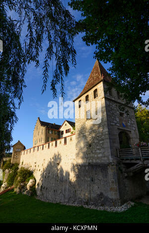 Castello Schloss Laufen, Laufen-Uhwiesen, , Zurigo, Svizzera Foto Stock