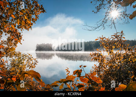 Vista panoramica con i colori dell'autunno e tranquillo lago in autunno la mattina in liesjärvi national park, Finlandia Foto Stock