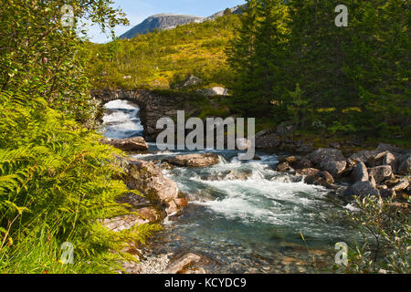 Bella estate paesaggio con il ponte attraverso il fiume di montagna Foto Stock