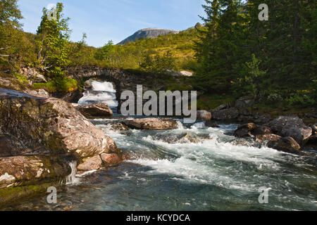 Bella estate paesaggio con il ponte attraverso il fiume di montagna Foto Stock