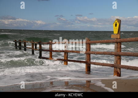 Entree del western pomerania area laguna parco nazionale. è uno dei più grandi parchi nazionali in Germania, del mar Baltico. Foto Stock