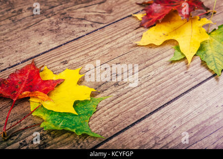 Autunno con sfondo colorato caduta foglie di acero su tavola in legno rustico. ringraziamento vacanze concetto. verde, giallo e rosso Foglie di autunno. messa a fuoco selettiva. Foto Stock