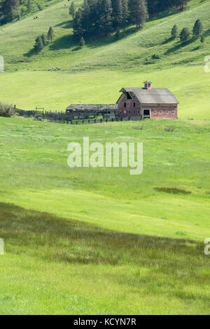 Fienile Rustico, sparso e corral nella zona nord-est di Oregon. Foto Stock