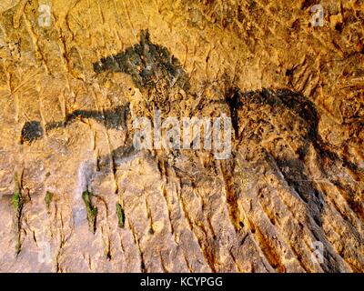 Scoperta di vernice preistorici di cavallo nella grotta di pietra arenaria. spotlight risplende sulla storica pittura umana. carbonio nero cavalli sulla parete di arenaria. La vernice Foto Stock