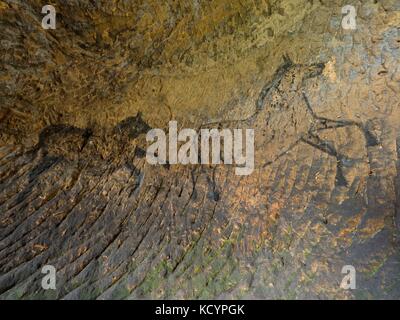 Scoperta di vernice preistorici di cavallo nella grotta di pietra arenaria. spotlight risplende sulla storica pittura umana. carbonio nero cavalli sulla parete di arenaria. La vernice Foto Stock