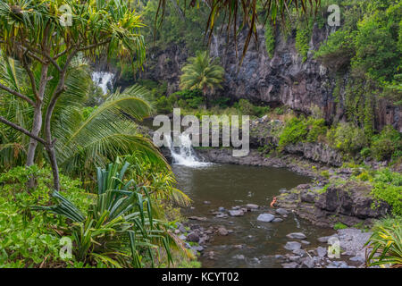 Cascate, oheo gulch, kipahulu, haleakala national park, Maui, Hawaii, Stati Uniti d'America Foto Stock