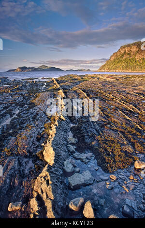 Gli strati di roccia con la bassa marea nel Bic National Park, inferiore regione Saint-Lawrence, Québec, Canada Foto Stock