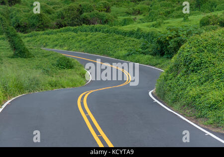 Piilani autostrada, Upcountry Maui, Hawaii, STATI UNITI D'AMERICA Foto Stock