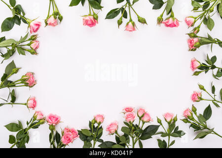 Cornice rotonda con rosa boccioli di fiori, rami e foglie isolati su sfondo bianco. piatta, vista dall'alto Foto Stock