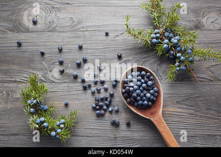 Cucchiaio di legno con semi di ginepro. Filiale di Juniper con bacche. Foto Stock