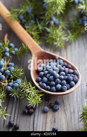 Cucchiaio di legno con semi di ginepro. Filiale di Juniper con bacche. Foto Stock