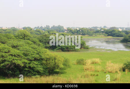 Vista aerea di sultanpur parco nazionale da un bird watching torre situata all interno del parco Foto Stock