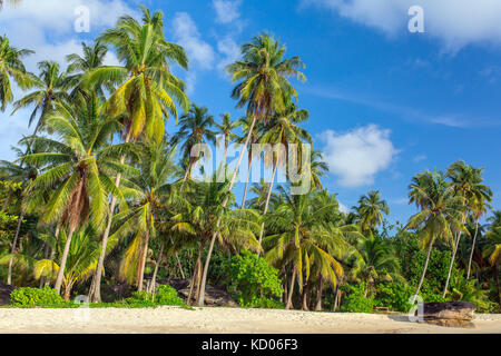 Le palme sulla bellissima spiaggia tropicale di Koh Kood island in Thailandia Foto Stock