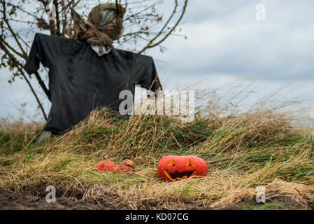 Zucca di Halloween e spaventapasseri in campagna Foto Stock