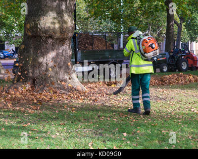 Raccolta di foglia in un autunnale di St James Park Foto Stock