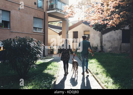 Vista posteriore del giovane cane a camminare nel parco della città Foto Stock