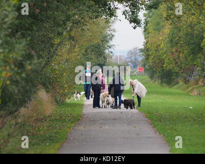 Sheerness, Kent, Regno Unito. 9 Ott, 2017. Regno Unito Meteo: un coperto per iniziare la giornata in Sheerness. Credito: James Bell/Alamy Live News Foto Stock